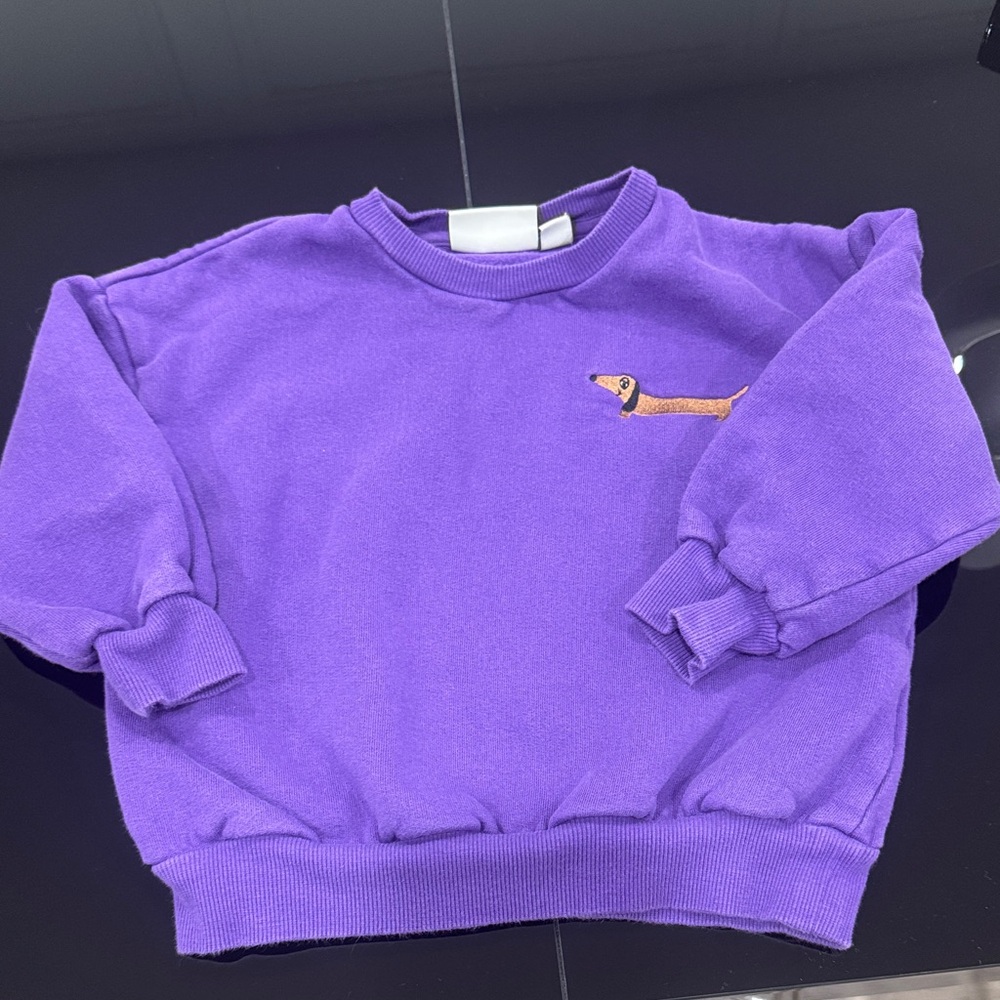 Mini Rodini Purple Sweatshirt